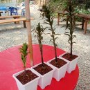 풍향유치원 이미지