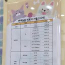 노룬산동물병원 이미지