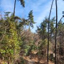 함지골청소년수련관 | 부산 영도 봉래산 초보 등산코스 후기 주차정보