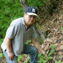 홍천농장 이미지