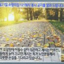 소망세탁 이미지