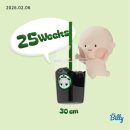 11545-10-28-15 | 임신기록 25주~28주 | 산전마사지 입체초음파 트립트랩