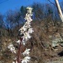 미선농장 이미지