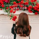 살롱드브리에 네이버블로그