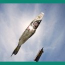 서문사 | 대구 서문사 가발샵에서 경험한 맞춤형 스타일 변화와 일상생활 적응 후기