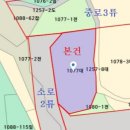 창박로 55 네이버블로그