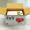 파주임진강꿀벌