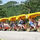 백두대간약초나라 이미지