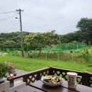 모닝김밥 이미지