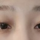꼬숑 살롱