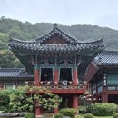 설악산 신흥사 가는길에 이미지