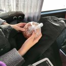 신라촌 | [여행] 1박2일 경주여행(대릉원/첨성대/동궁과월지/신라촌게스트하우스/핑크뮬리/황리단길)