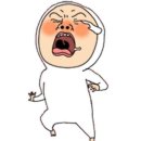이천철권복싱체육관 이미지