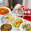 강원도 동해 묵호 피자주는 중식맛집 수희 내돈내산 후기