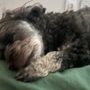 단계서길-2 이미지