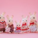 살레시오고등학교 이미지