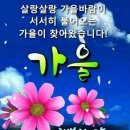 특별한당신에게 이미지