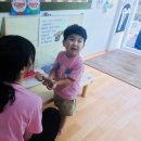 요술곰 동물원 이미지