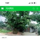 제주할망밥상표선점 이미지