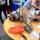 고기파는사람들