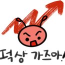 마켓라인
