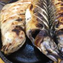 어쭈구이 이미지