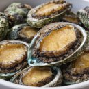 동해참전복 이미지