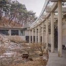 봄;꽃이피다 | 이천 라드라비 한식당 추천! 봄을 담은 파인다이닝 스프링 코스 후기