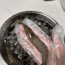 [내돈내산] 거북왕수산 급냉새우 생새우회 내돈내산 추천 후기