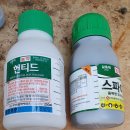 귤나방 네이버블로그