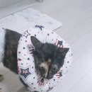 마미킴 이미지