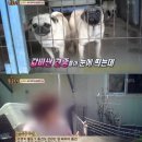 동물농장 - 양산시 양산역로 85 | 동물농장