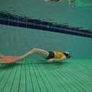 송도 해양레포츠센터 내 | 66다이브 부산 송도해양레포츠센터 머메이드다이빙 강습 후기