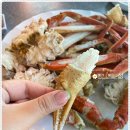 바다를 담다 이미지