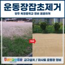 옥정중학교 | 운동장잡초제거, 양주 옥정중학교 정비 꼼꼼하게