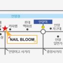 네일블룸(nailbloom)