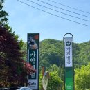벌곡(대전) | 대전근교 카페벌곡 논산 카약체험후기 애견동반