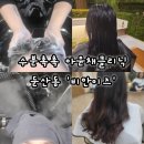 비안이즈 대전둔산프리미엄 | 대전 둔산동 미용실 추천 '비안이즈 대전둔산프리미엄' 아윤채 클리닉 후기