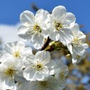 여천한의원 이미지