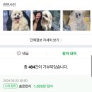 공짜콩으로 번식장 구조견 수술비 마련이 돼❓ 🫛 ㅇㅇ 클릭 몇번이면 삽가능한💚 이미지