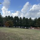 청태산 자연속으로 | 청태산 자연휴양림 2휴양관(느티나무) 다녀온 솔직 후기(리뷰)