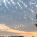 산동교 친수공원 축구장 이미지