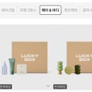 럭키클린케어 이미지