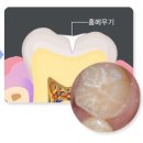 안산 초등학교 이미지