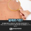 광진기전 이미지