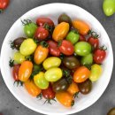 방주농원 이미지