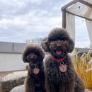 뭉스벨리 이미지