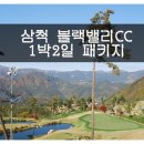 푸른숲팡팡