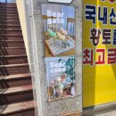 베어프룻