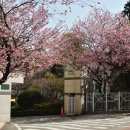 부산배화학교 이미지